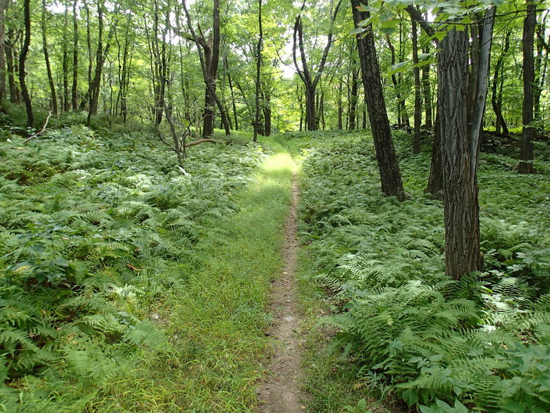 Stillwater/Pasture Loop trails