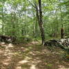 Pasture Loop Trail