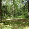 Roaring Brook/Pasture Loop trail junction