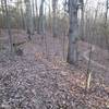 Leaf covered switchbacks on the North Loop.