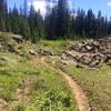 Grand Mesa is full of these seemingly random piles of lava rocks, like they fell from the sky.