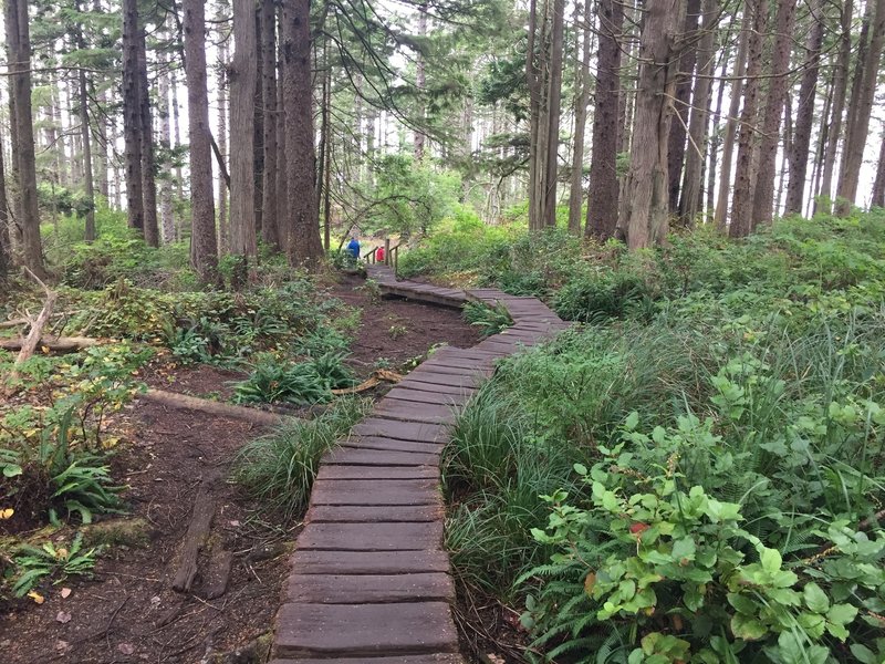 Cape Flattery boardwalk