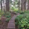 Cape Flattery boardwalk