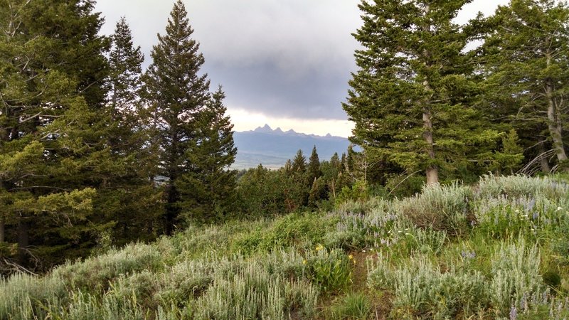 Best spot on this trail of the Tetons.