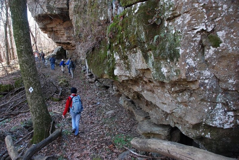 Lower Eagle View Trail