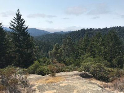 A view near the top of the Skyline to the Sea Trail.