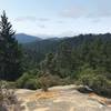 A view near the top of the Skyline to the Sea Trail.