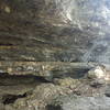 View from inside the cave, just standing at the mouth, of Cub Cave