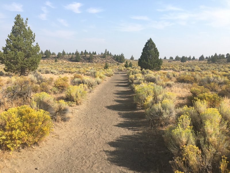 Badlands Rock Trail.