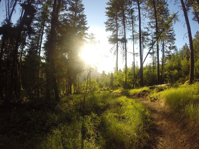 Sun rising just prior to hitting another steep section.