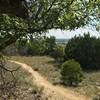 Quanah Hill 1886 Trail view from bench in quiet secluded picnic area.