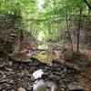 Remnants of an old bridge on Nancy Rhodes Creek.