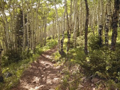 Start of the rocky descent. Don't forget to look left and enjoy the views!