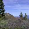 Mills Peak Lookout