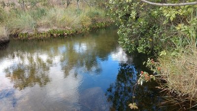 A pool just before the waterfall.