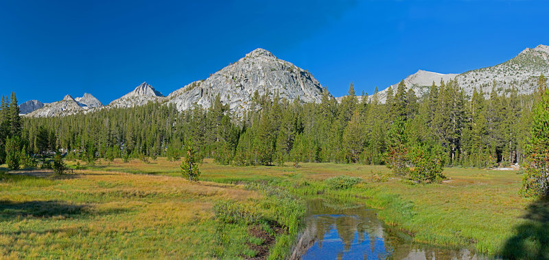 Rosemarie Meadow.