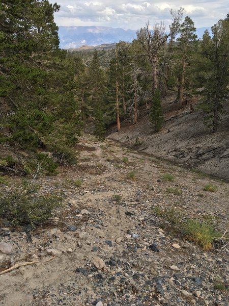 Glass Mountain Trail starting to get steep!