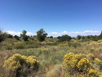 Looking out towards the San Luis Valley.