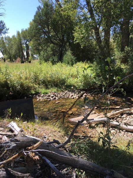 Deadman's Creek, easy to cross.