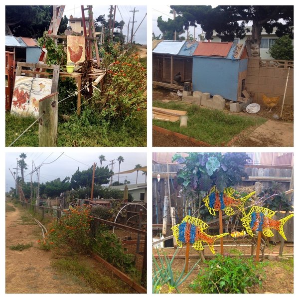 Neighborhood garden along the singletrack. Say "Hi" to chickens and ducks!