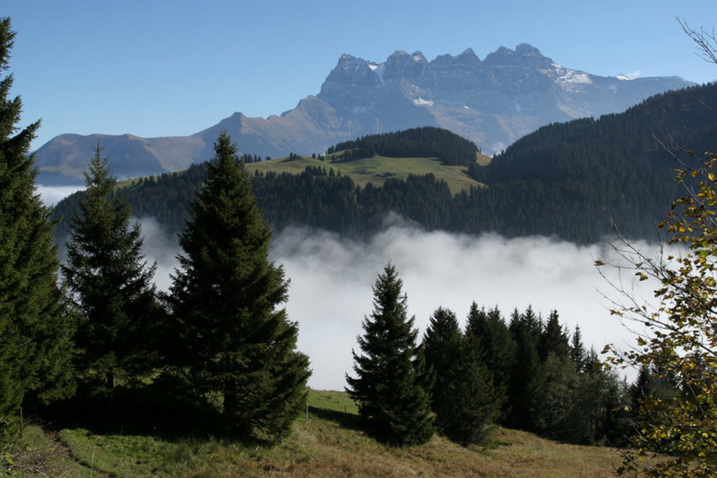 View from the trail.