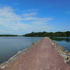 Looking toward Loon Island from Loon Island Trail.