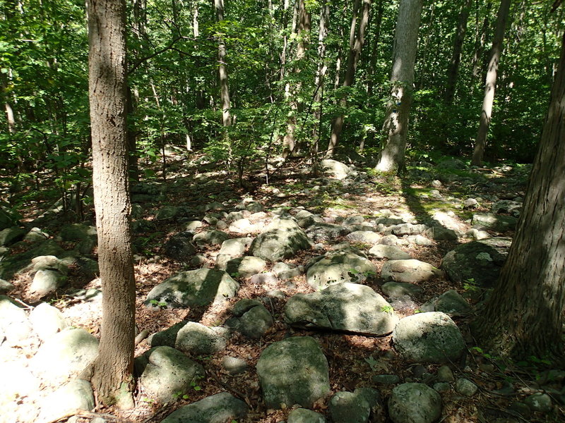 Difficult Blue-White connector trail.