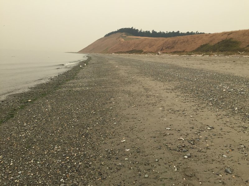 Beach along Ebey's Landing - Haze from various wildfires obscures much of the view.