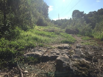 Pinyon Creek Trail as it opens up to the sky.