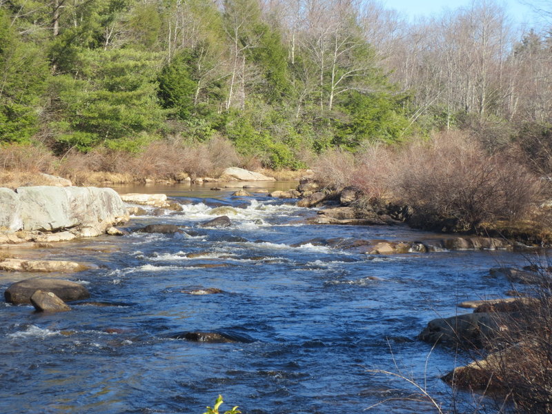 Blackwater view from Splash Dam South Trail.