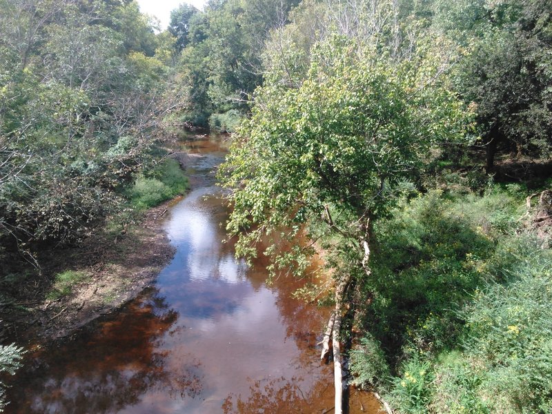 Overlooking the Eno River