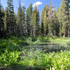 Green meadows and small ponds on the way to Lake George.