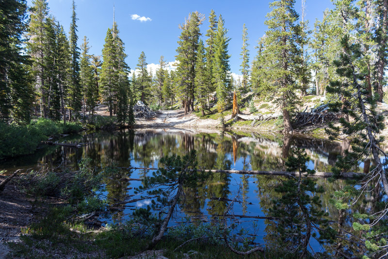 A small unnamed lake on Coldwater - Lake George Trail