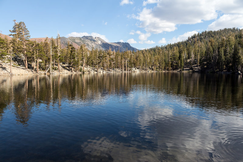 Lake Barrett