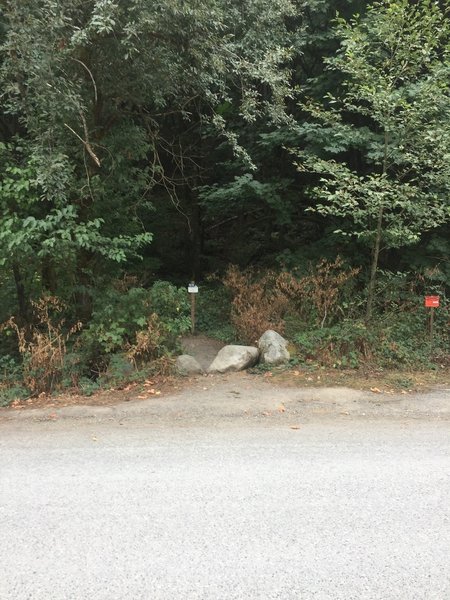 Entrance to the Cable Line Trail is just off the service drive off I-90, Exit 20. Parking is on both sides of the street.