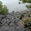 Top of the first pile of rocks near the start of the rock scrambling.