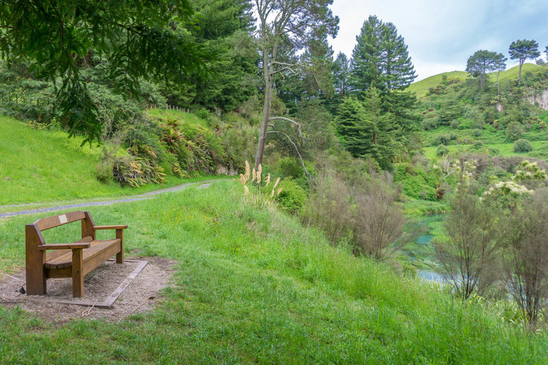 A nice rest stop along the Te Waihou Walkway