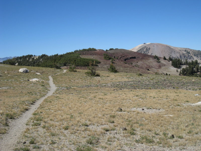 Near the Mammoth Crest Alternate Spur.