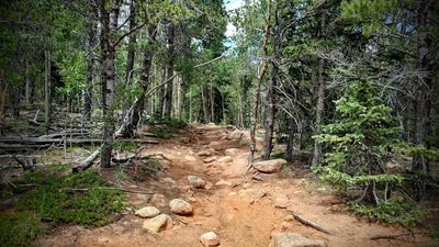 Boulders along the trail.