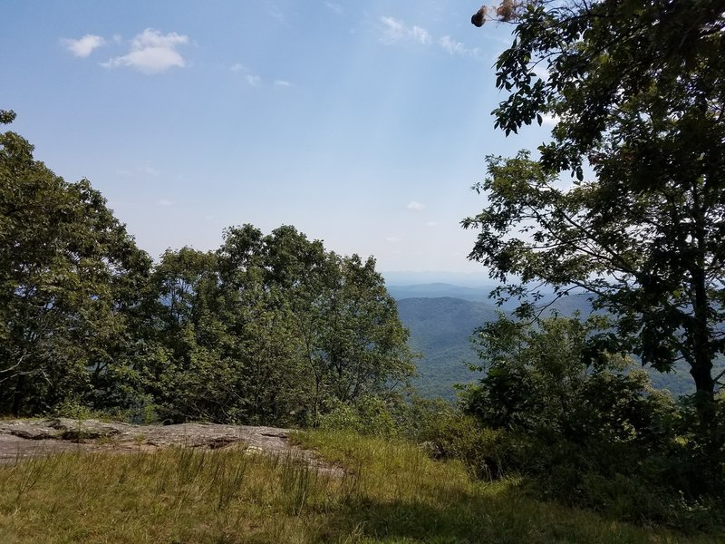 View from the shelter at the top of Bluff Ridge Primitive Trail. A welcome place to sit after an intense outing.