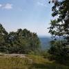 View from the shelter at the top of Bluff Ridge Primitive Trail. A welcome place to sit after an intense outing.