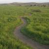 A segment of the EZ Loop. It is a 5.5 mi loop that begins and ends at the trailhead.