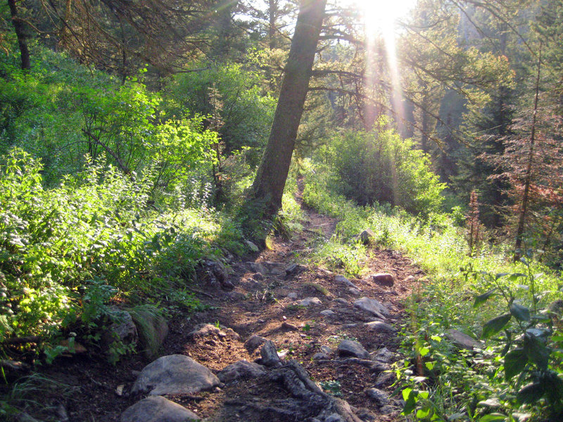 Some of the fine rock gardens making up most of the descent on Phillips Canyon.