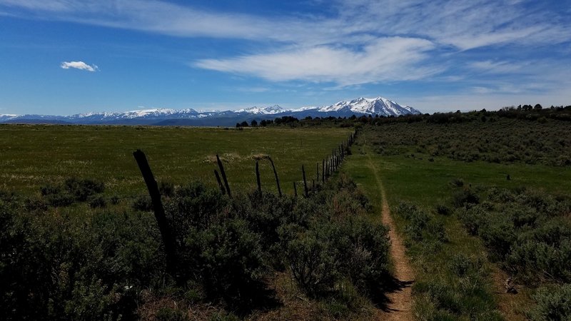 The Fisher Creek Trail is such a great off the beaten path singletrack. Sopris from the meadow