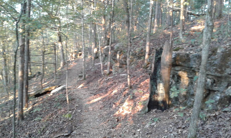 Trail along the ridge.