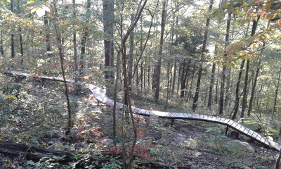 One of the mountain biking features