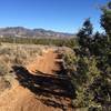 The Roan Cliff Chaos Trail.