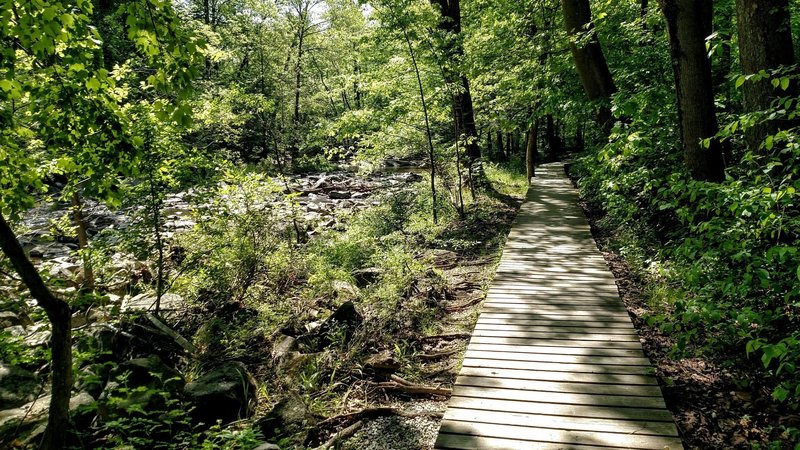 One of the raised walkways along the river.