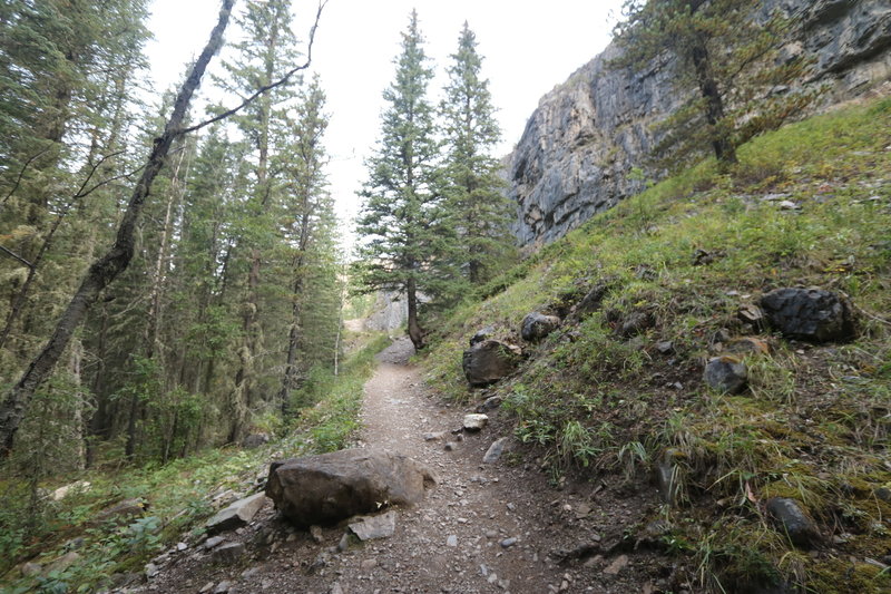 Prairie Creek Trail - Kananaskis.