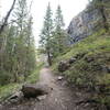 Prairie Creek Trail - Kananaskis.